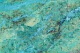 Polished Blue River Chrysocolla Section - Arizona #167540-1
